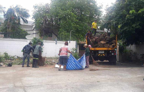 เก็บขยะ-3